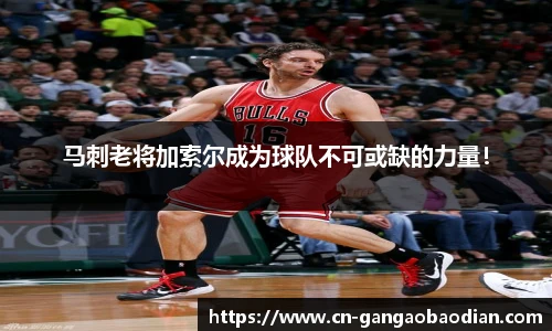 马刺老将加索尔成为球队不可或缺的力量！